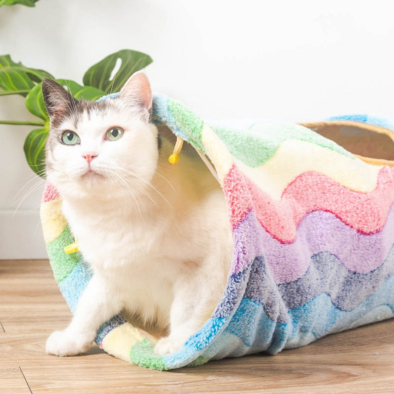 Elven in de Regenboog Kattentunnel