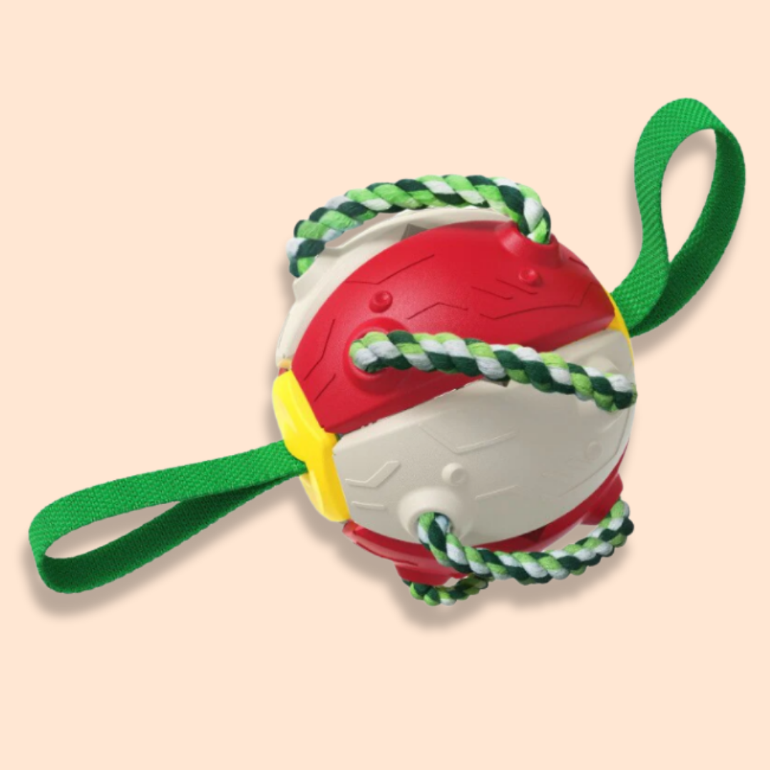 TugBall - Interactieve Tugbal Hond