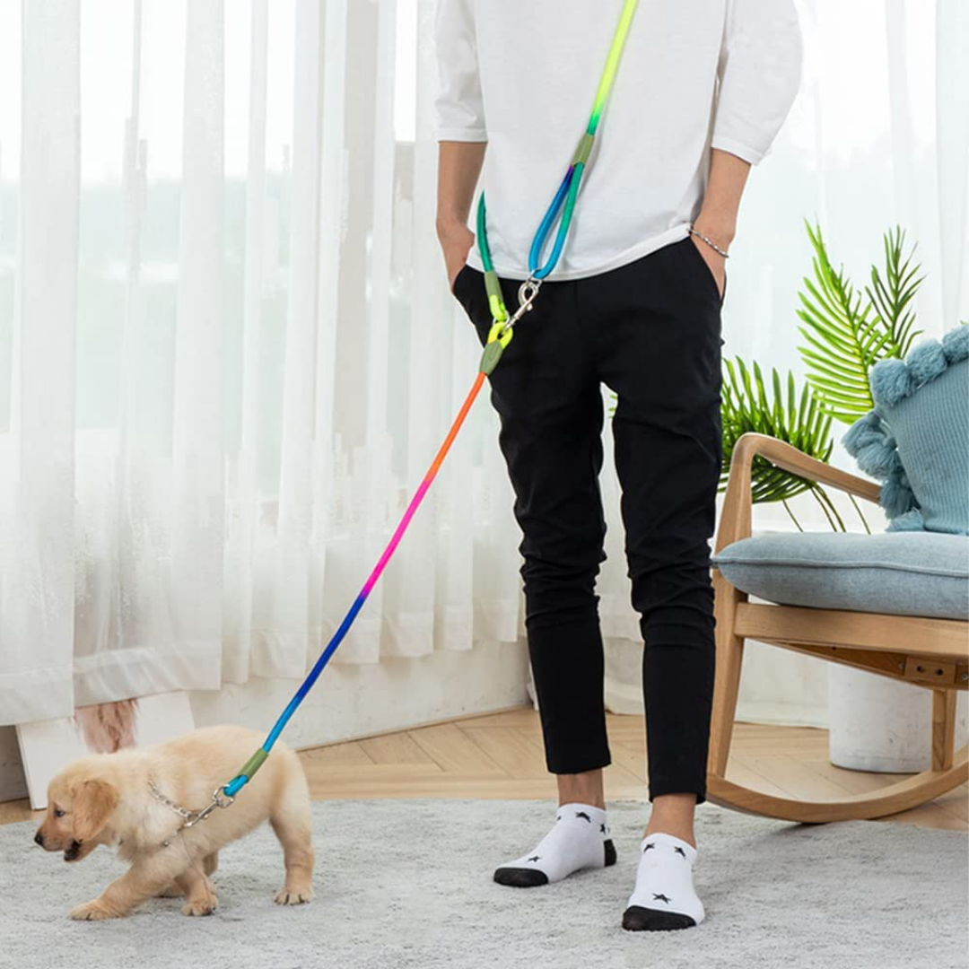 LeashLink - Handsfree Verstelbare Hondenriem