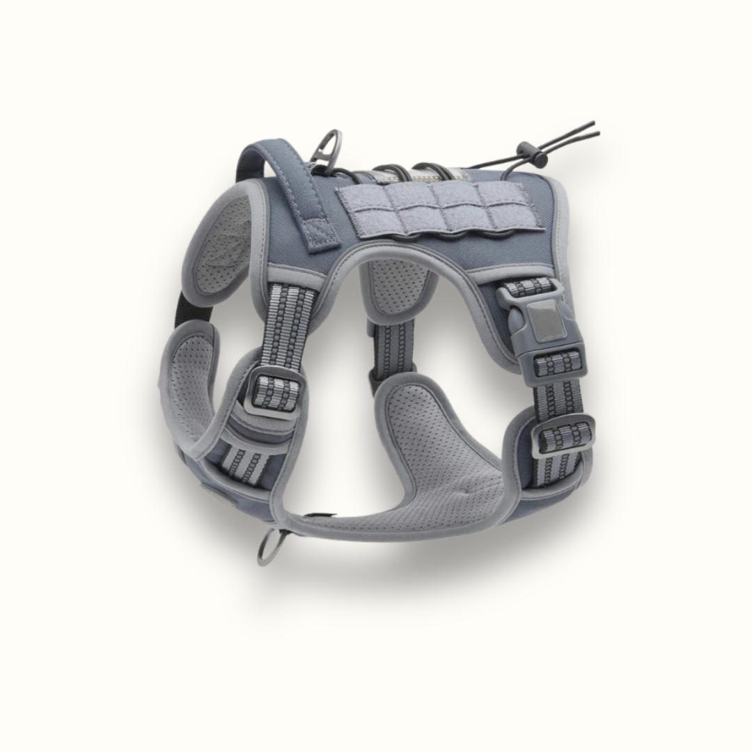 DogSecure - Escapeproof Anti-Trek Hondentuig