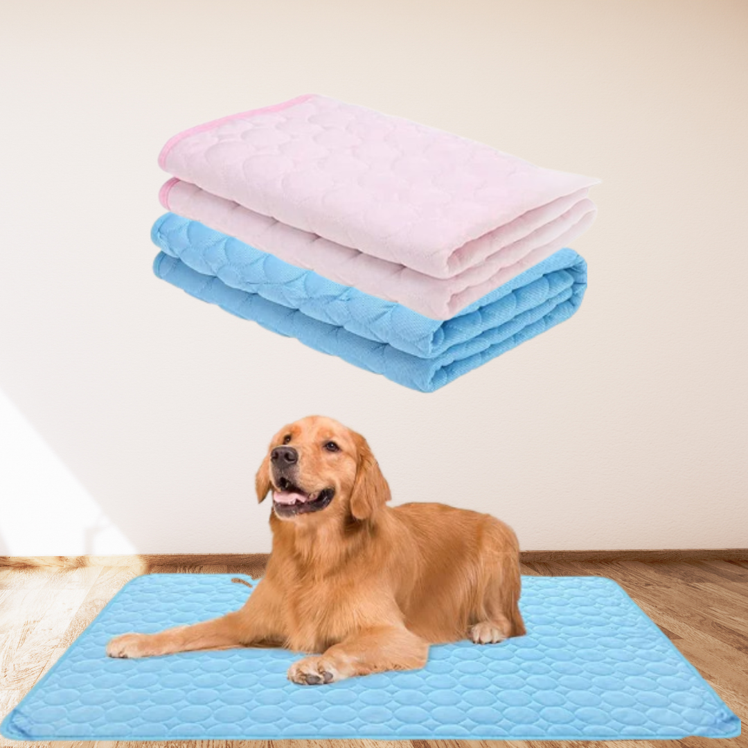 CoolPaw - Bescherm je hond tegen oververhitting!