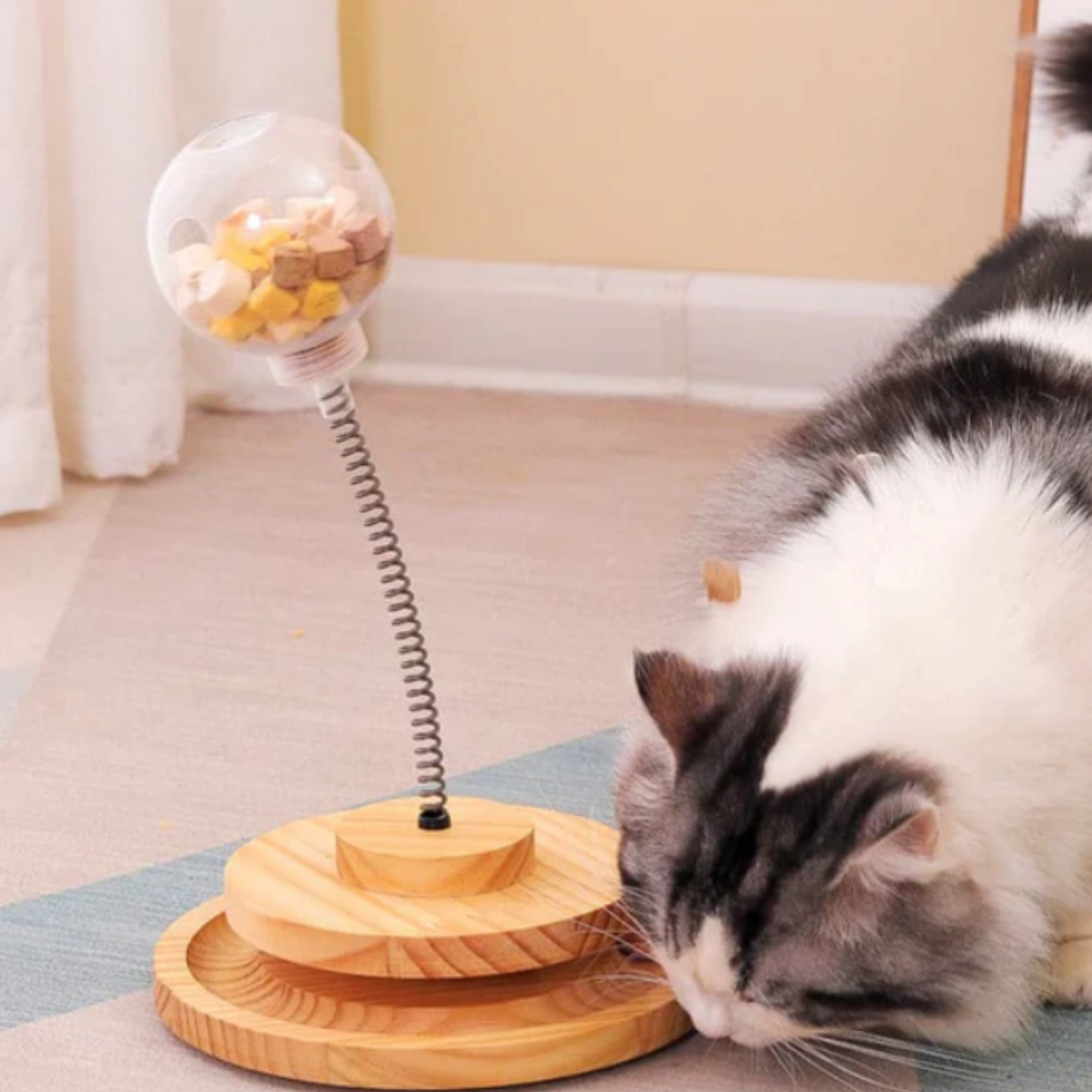 Meowtion - Houdt katten speels en nieuwsgierig