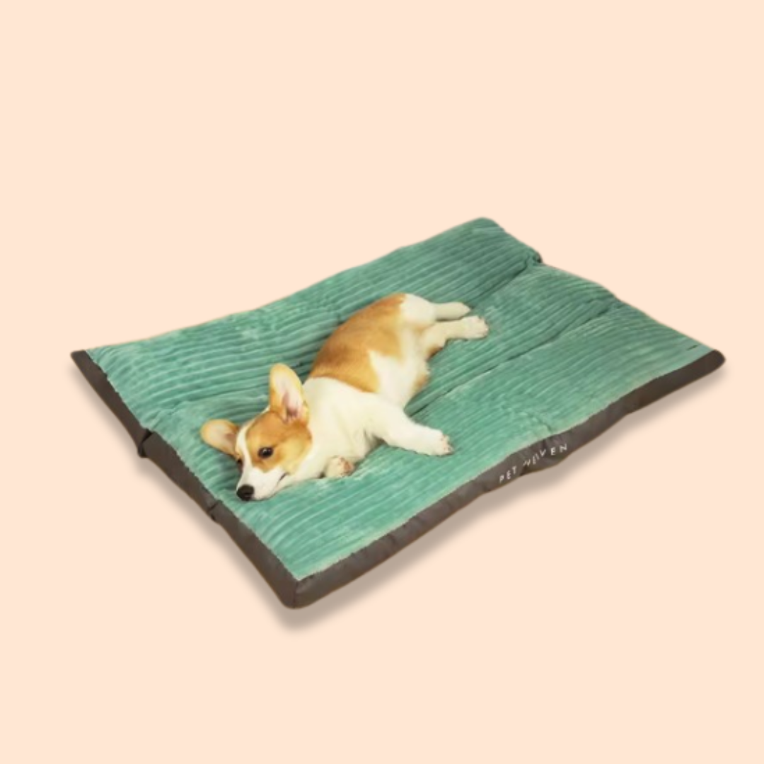 PawNest - Anti-Slip Pluche Hondenbed