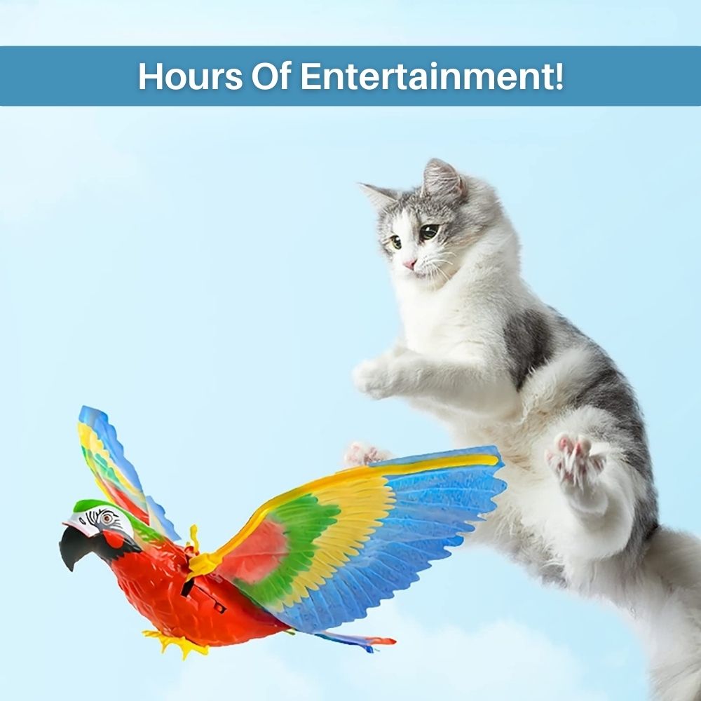 Interactief kattenspeelgoed - SkyChase™