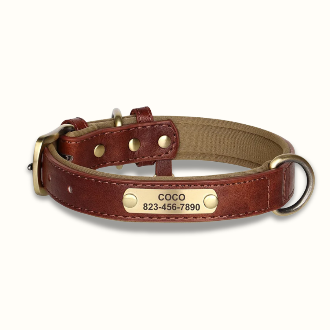 PawID - Gegraveerde Leren Hondenhalsband