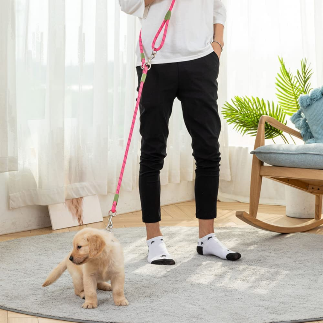 LeashLink - Handsfree Verstelbare Hondenriem