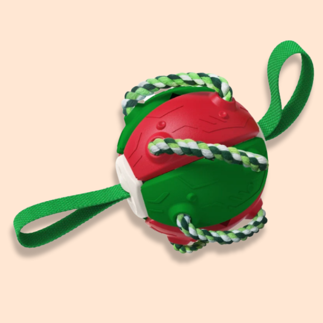 TugBall - Interactieve Tugbal Hond