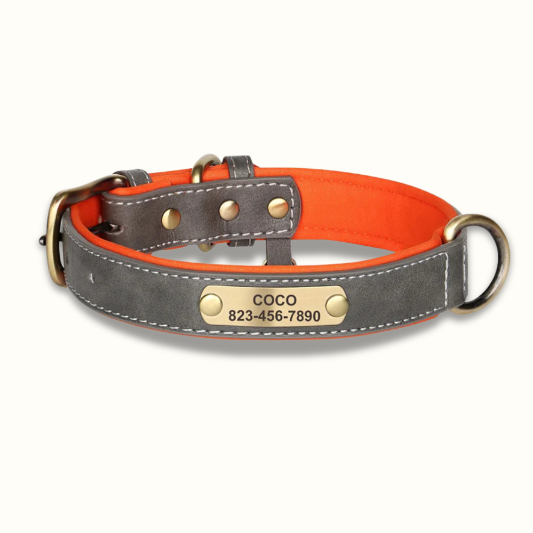 PawID - Gegraveerde Leren Hondenhalsband