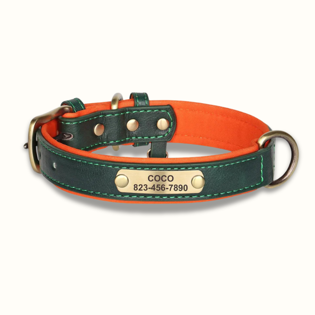 PawID - Gegraveerde Leren Hondenhalsband