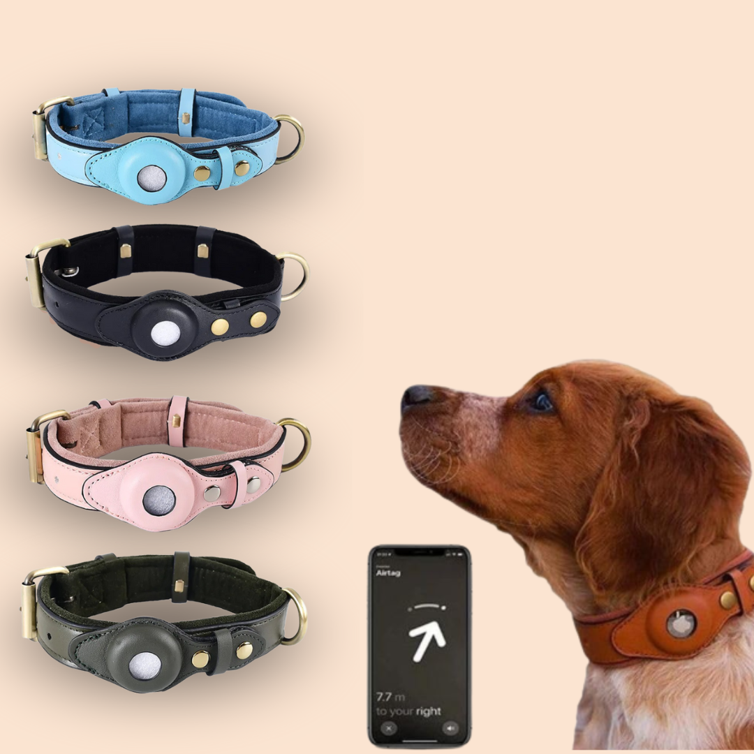 Tracky - Raak je hond nooit meer kwijt!