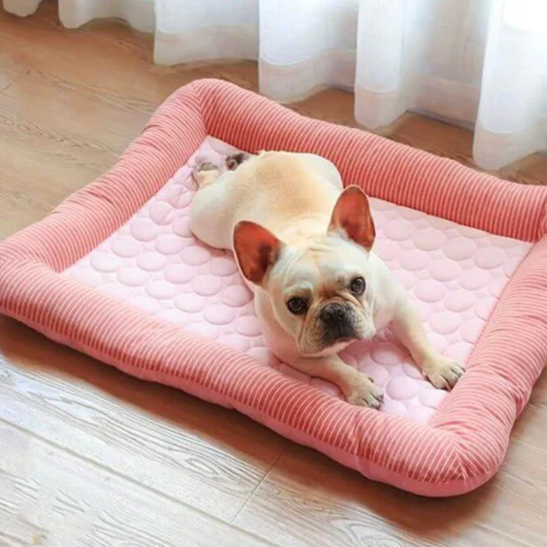 CoolPaw Premium - Bescherm je hond tegen de zomerse hitte!