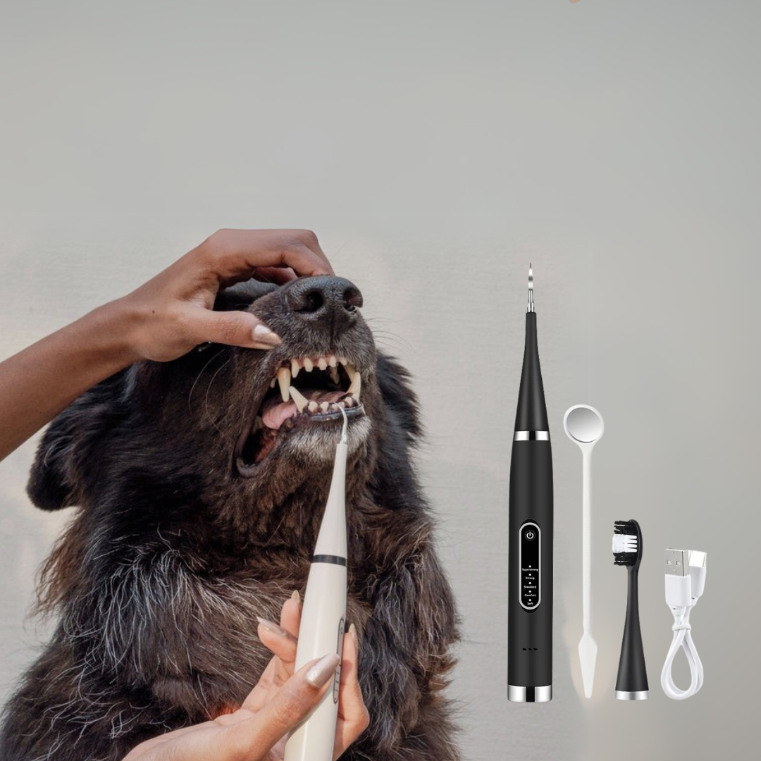 PawBrush - De Ultieme Tandverzorgingsset