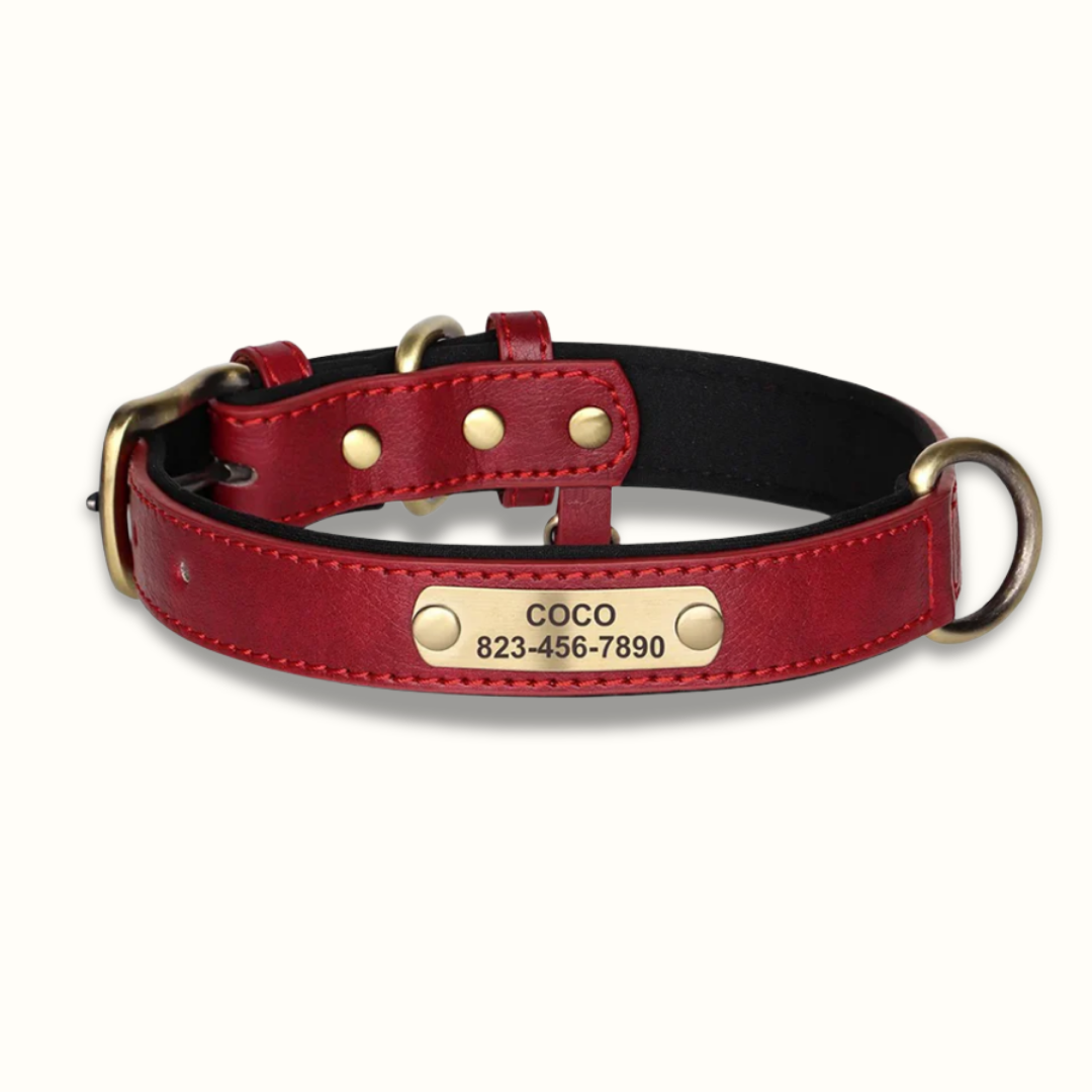 PawID - Gegraveerde Leren Hondenhalsband