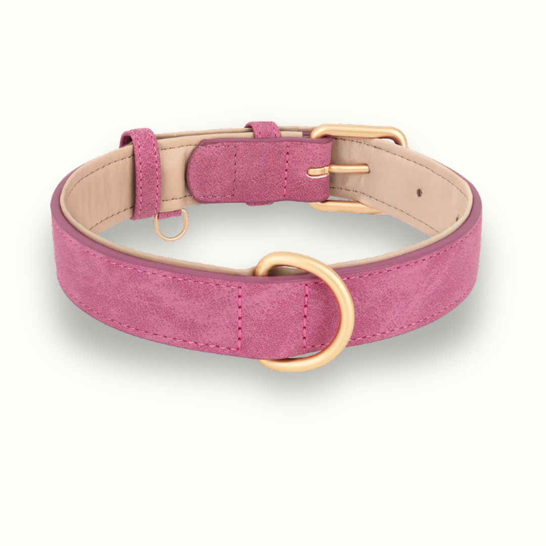 ChicLeash - Sterke Leren Hondenhalsband