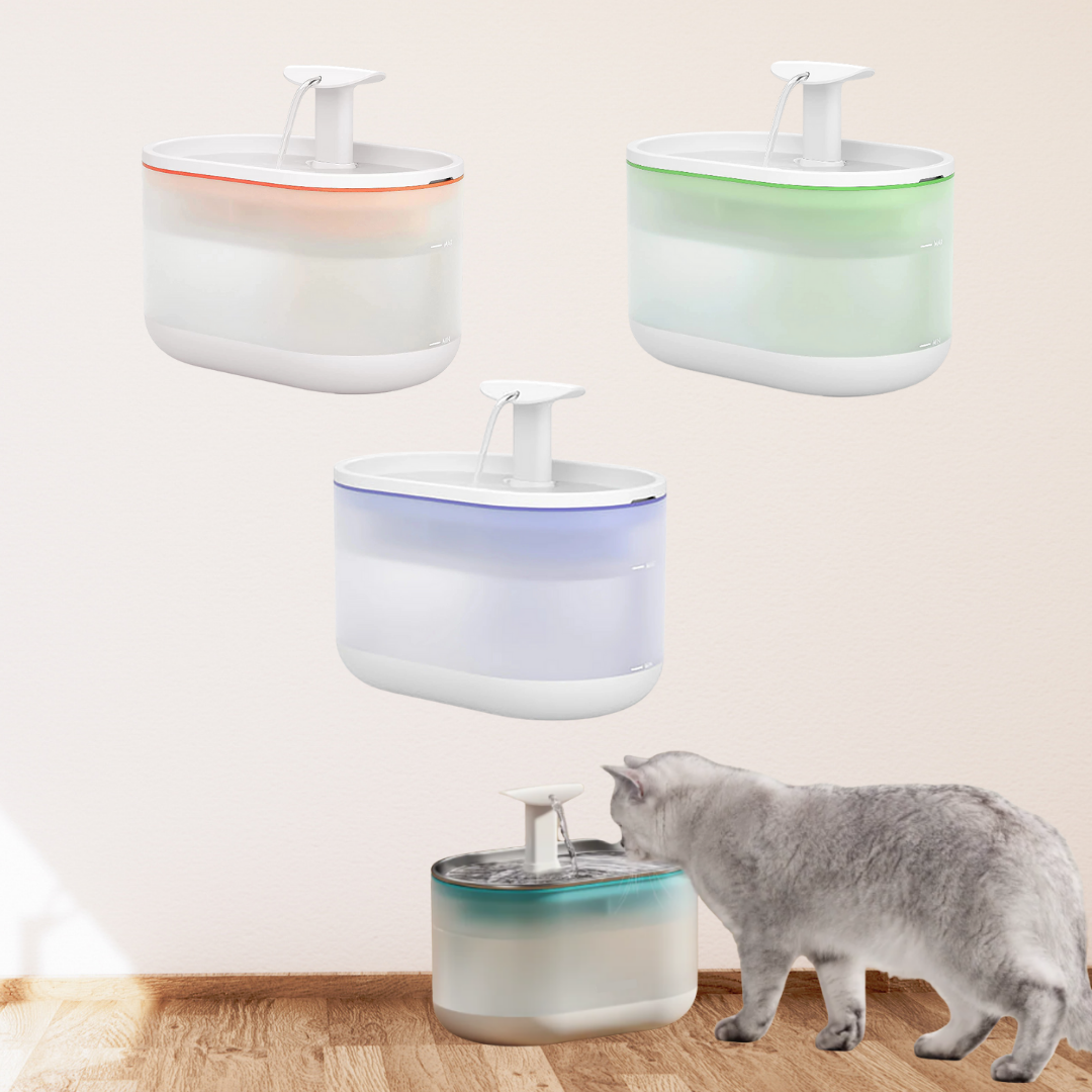 AquaFlow - Bescherm je kat tegen gevaarlijke bacteriën!