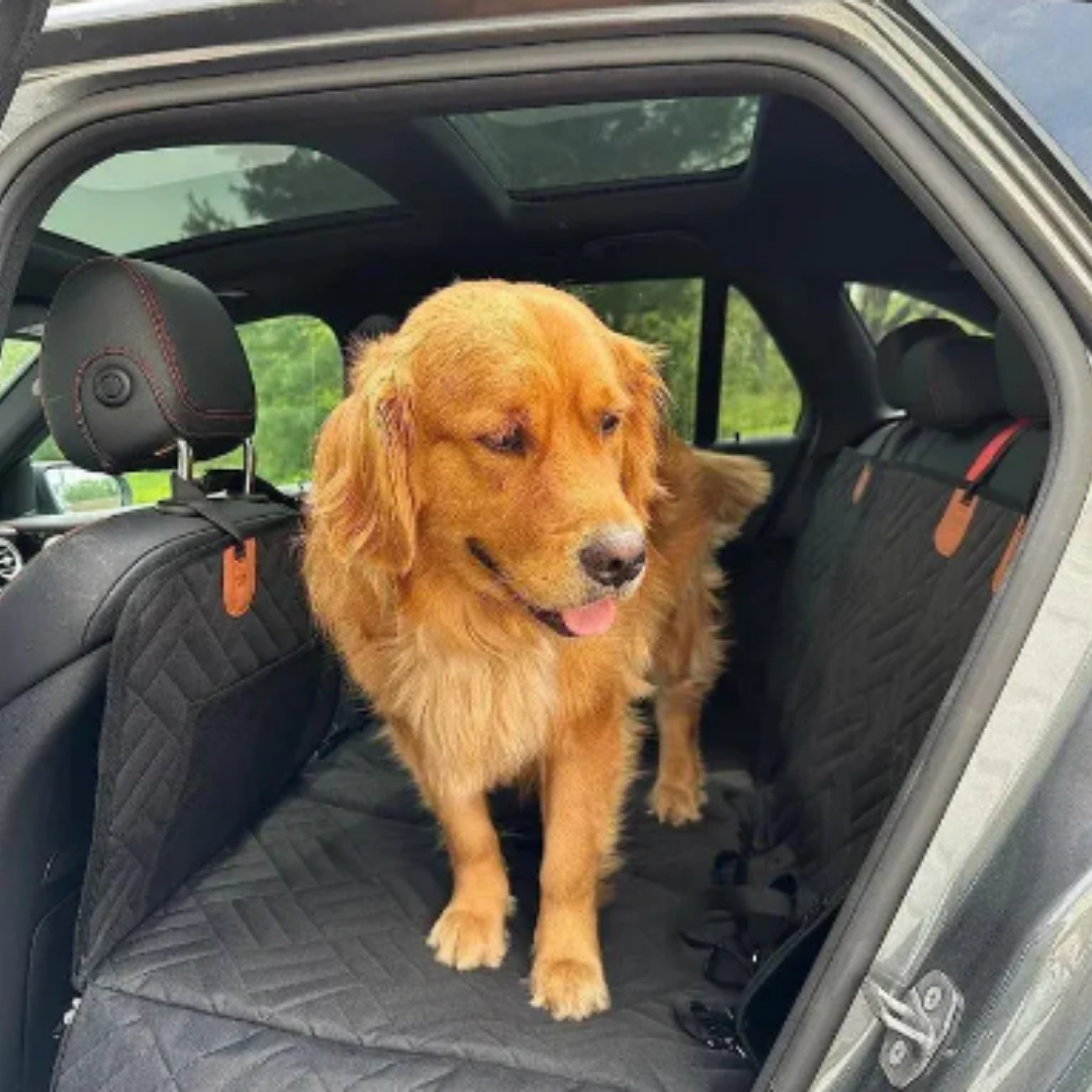 PawPad - Creëert de ruimte die je hond nodig heeft!