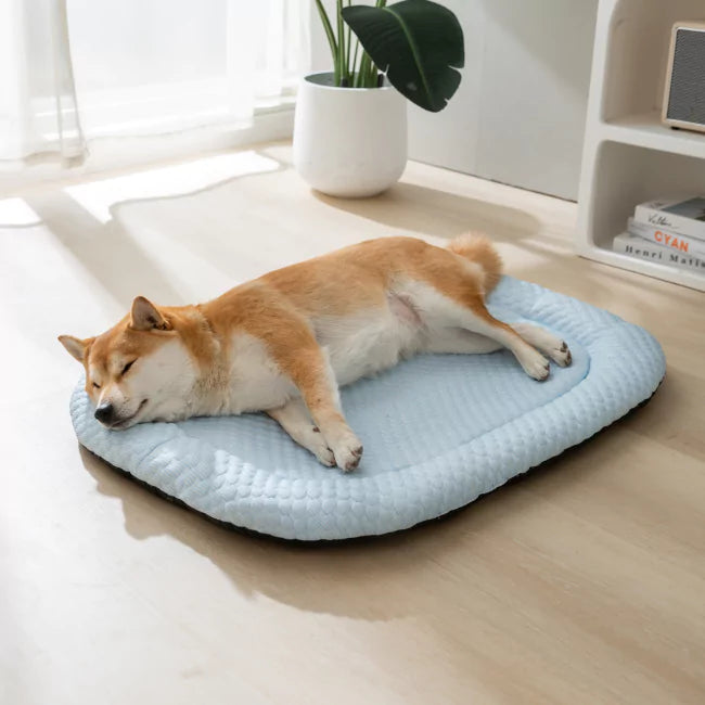 Koelmat voor Honden - Ultra bescherming tegen oververhitting
