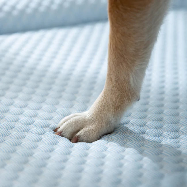 Koelmat voor Honden - Ultra bescherming tegen oververhitting
