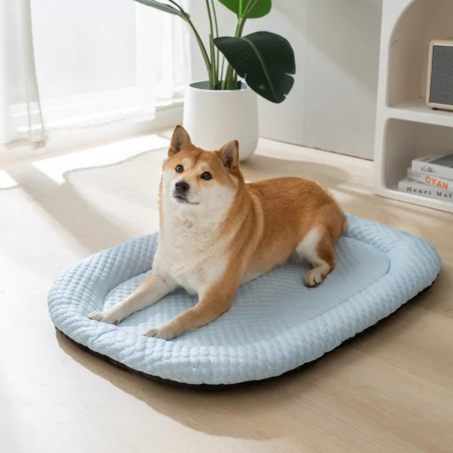 Koelmat voor Honden - Ultra bescherming tegen oververhitting