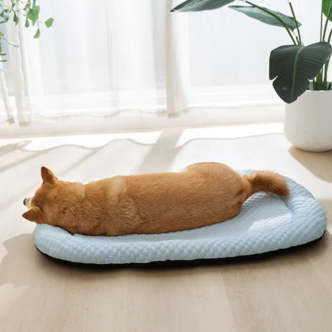 Koelmat voor Honden - Ultra bescherming tegen oververhitting