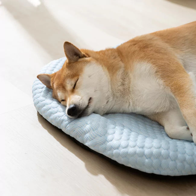 Koelmat voor Honden - Ultra bescherming tegen oververhitting
