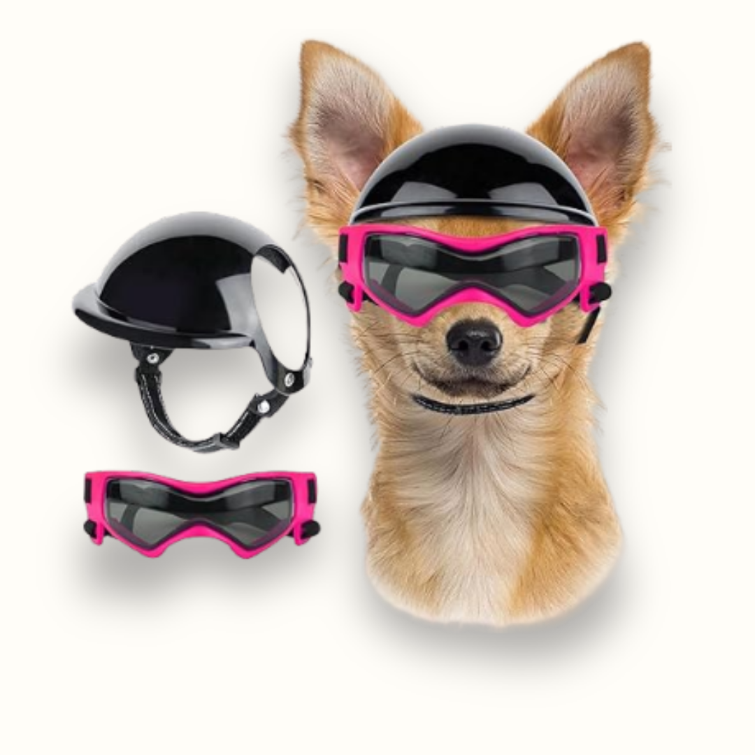 HelmPup - Beschermende Hondenmotorhelm Set