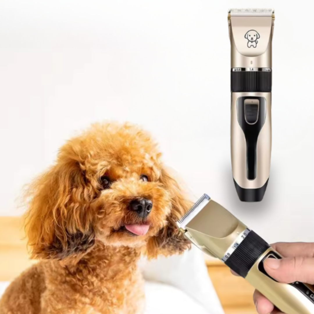 GroomZen - Stille Professionele Tondeuse
