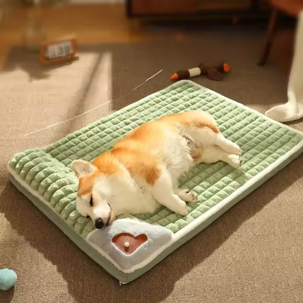 Pet Bed | Warme, wasbare sofa voor kleine en middelgrote honden en katten