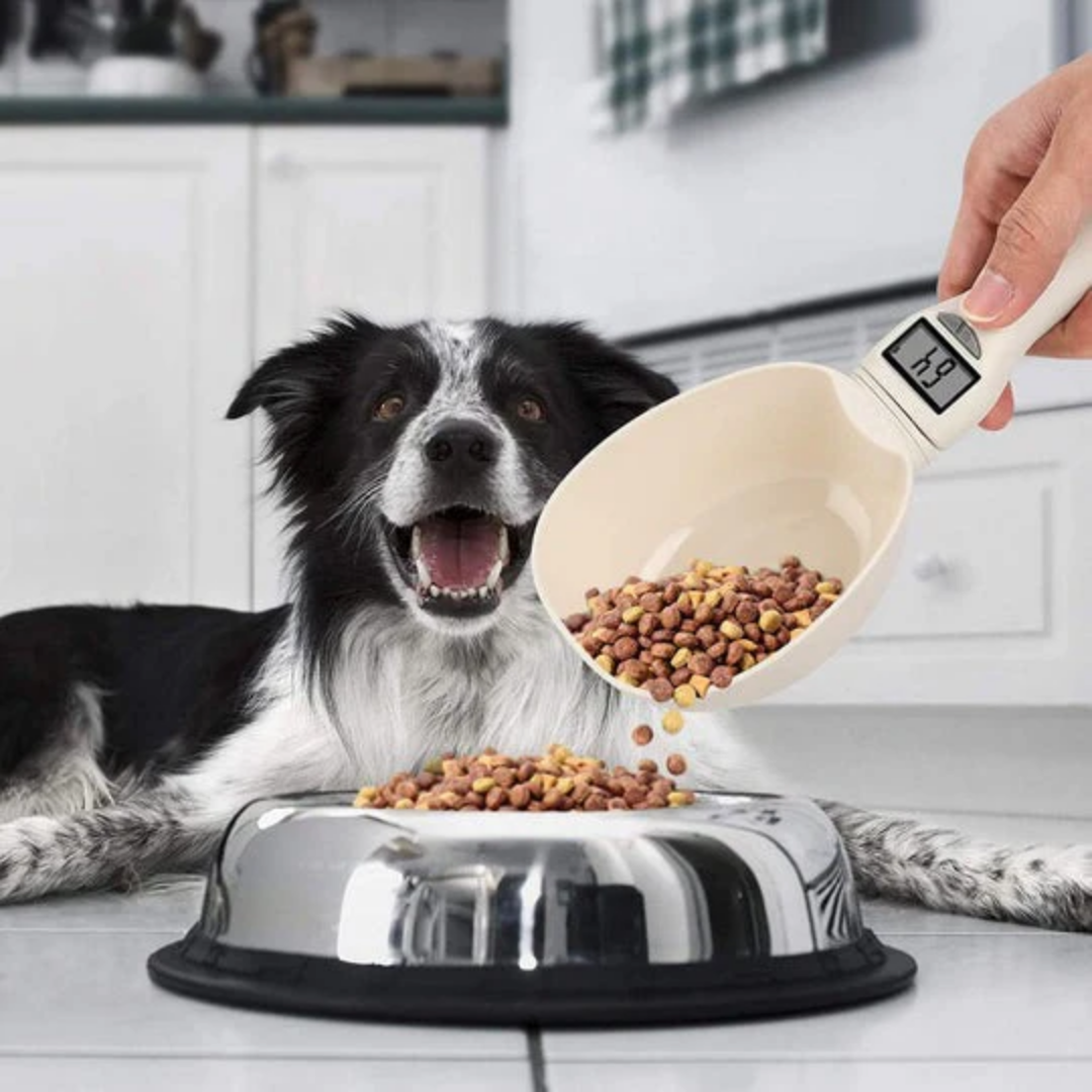 ScoopScale - Digitale Honden Weeglepel