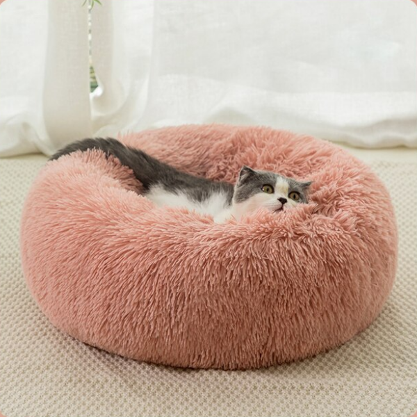 De Originele Gezellige Kattenmandâ˘