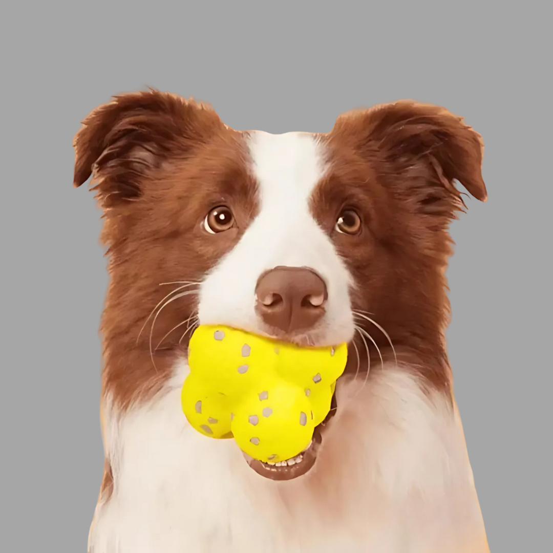 Dentiball - Tandverzorgende Kauwbal Hond