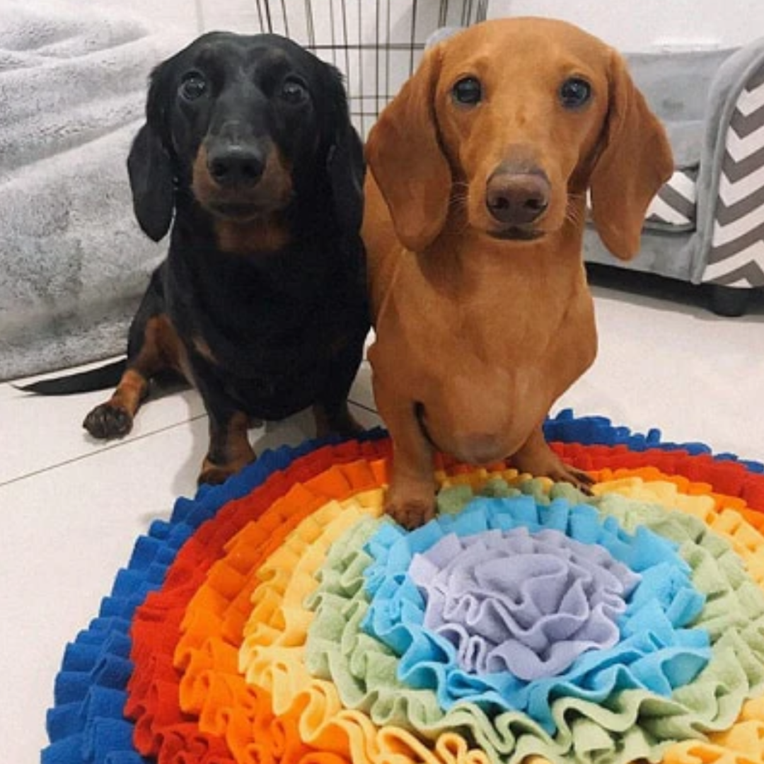 SniffTopia - Interactieve Fleece Snuffelmat