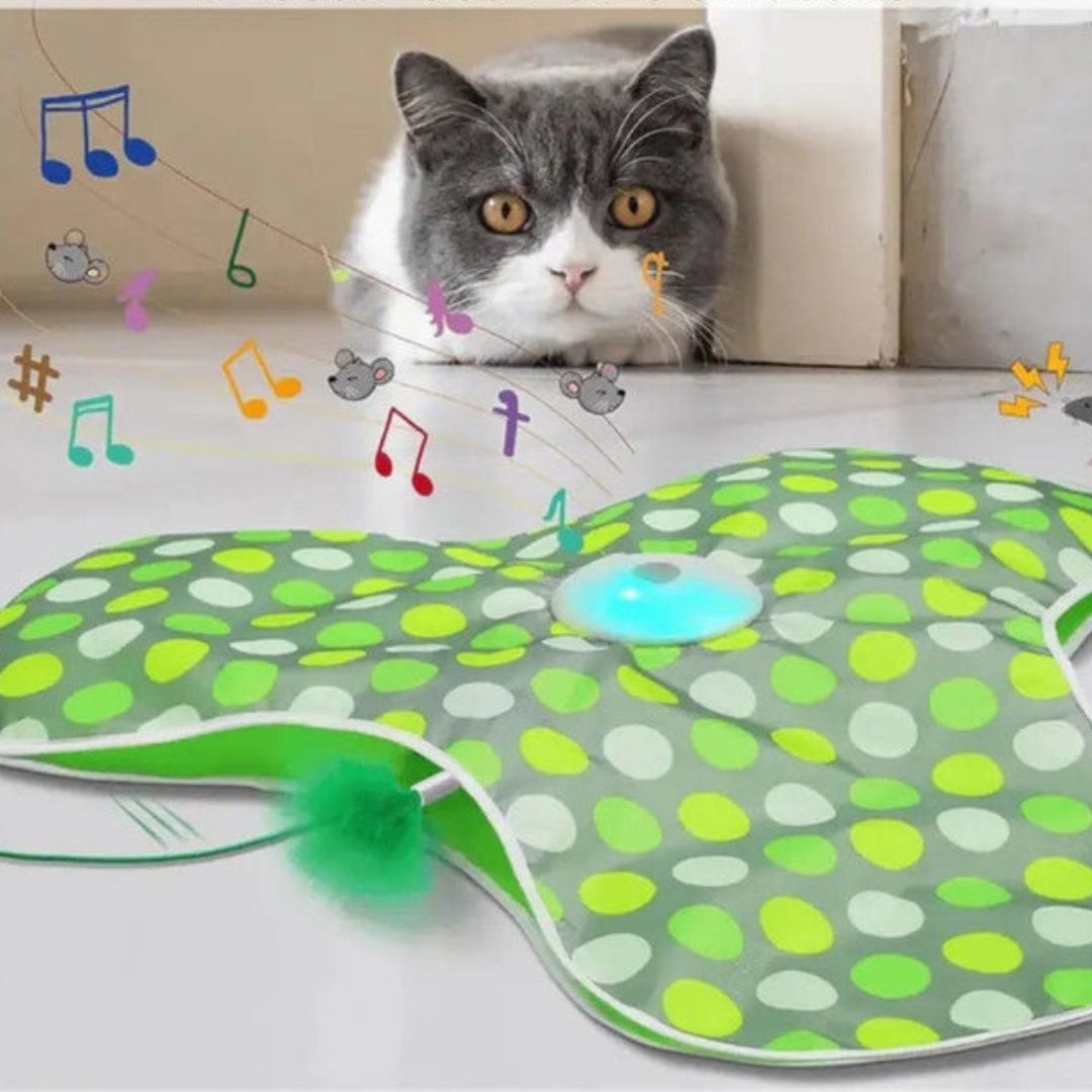 WhiskiQ - Interactief Jacht Kattenspeelgoed