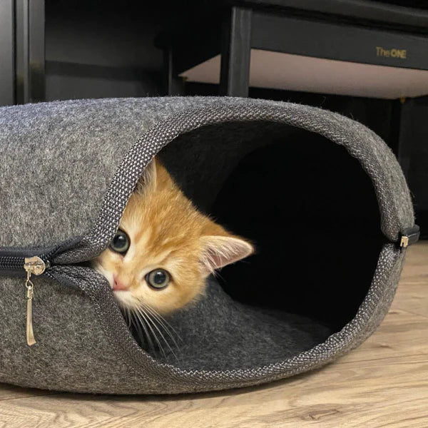 Maya | Katten bed & speelhuis