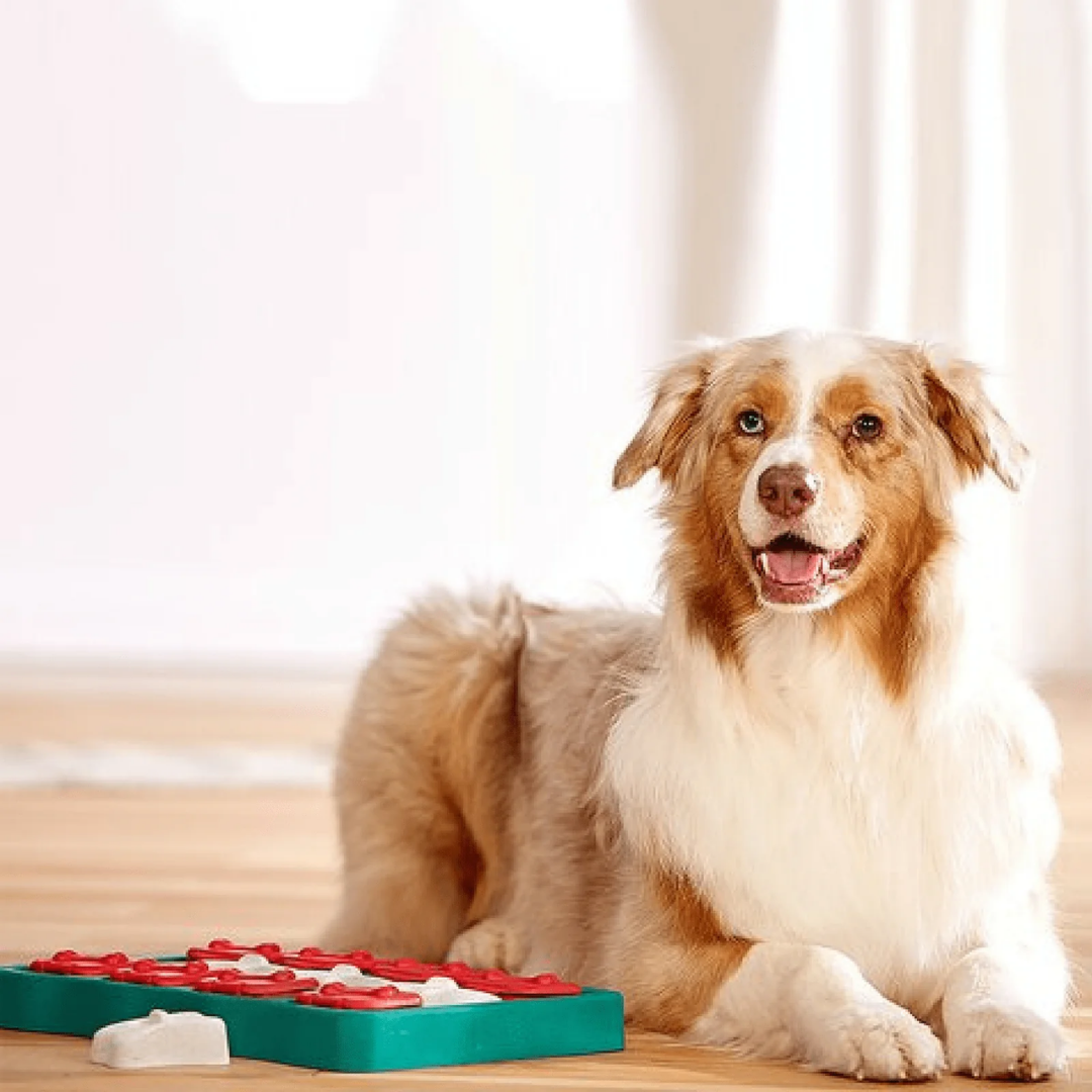 PawzzlePup - Interactieve Traktatiepuzzel Hond