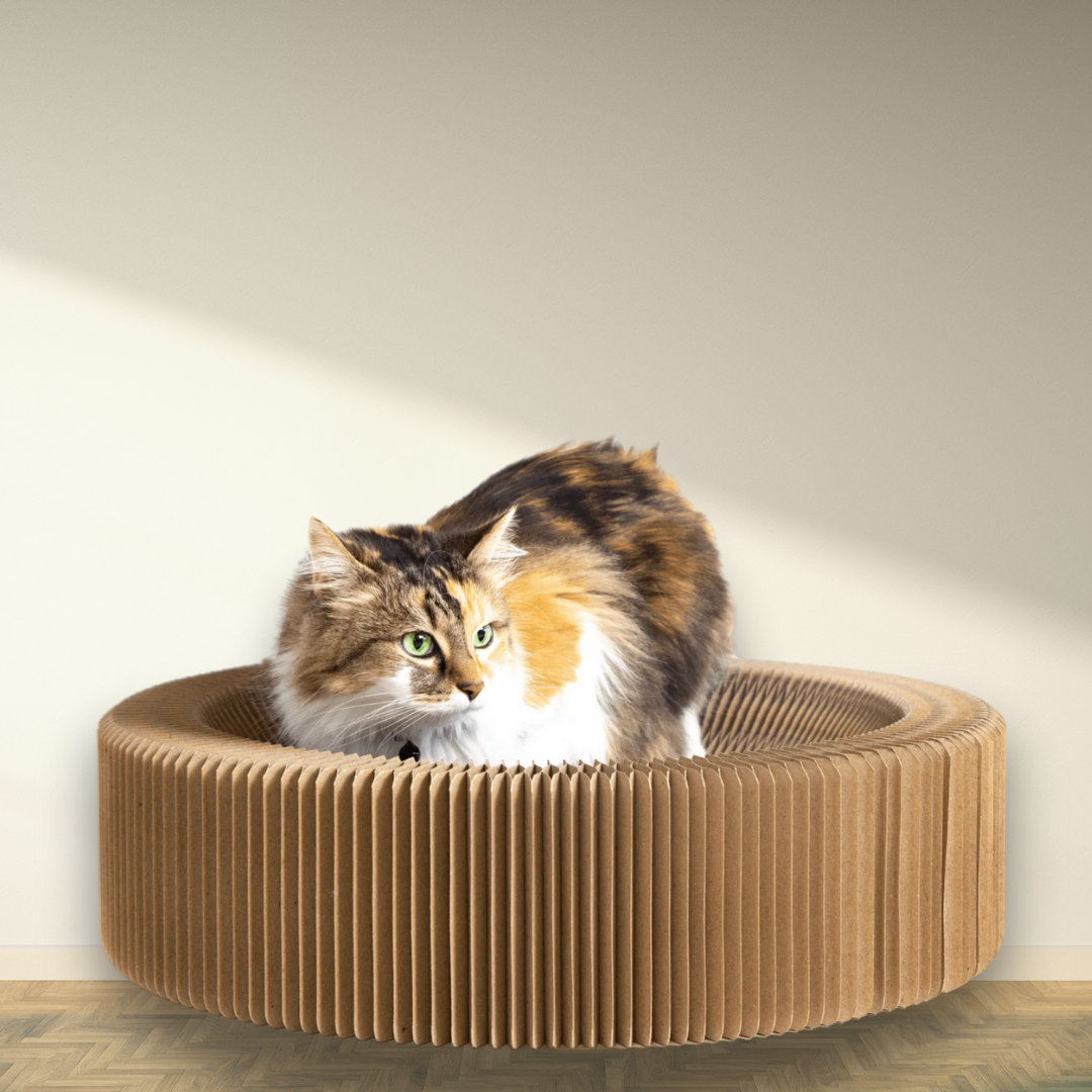 FoldNest - Opvouwbare Kartonnen Kattenlounge