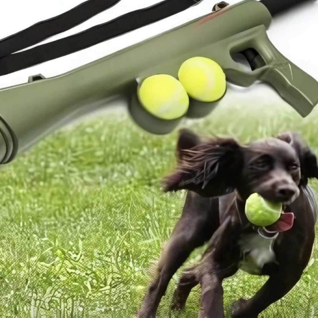 Fetchi - Automatische Apporteer Bazooka