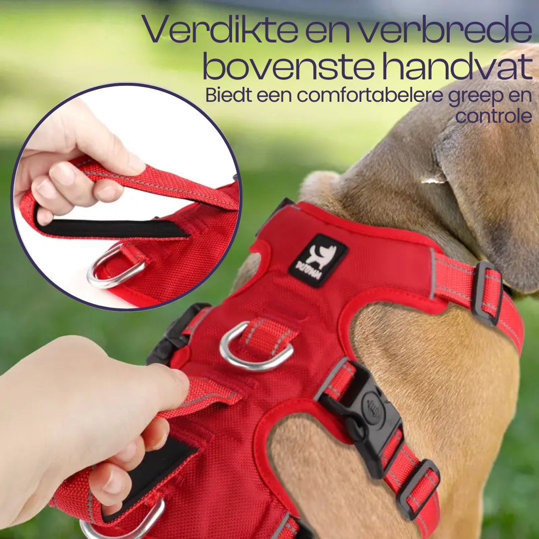 Veilige Controle Hondentuig Met Reflecterende Kenmerken