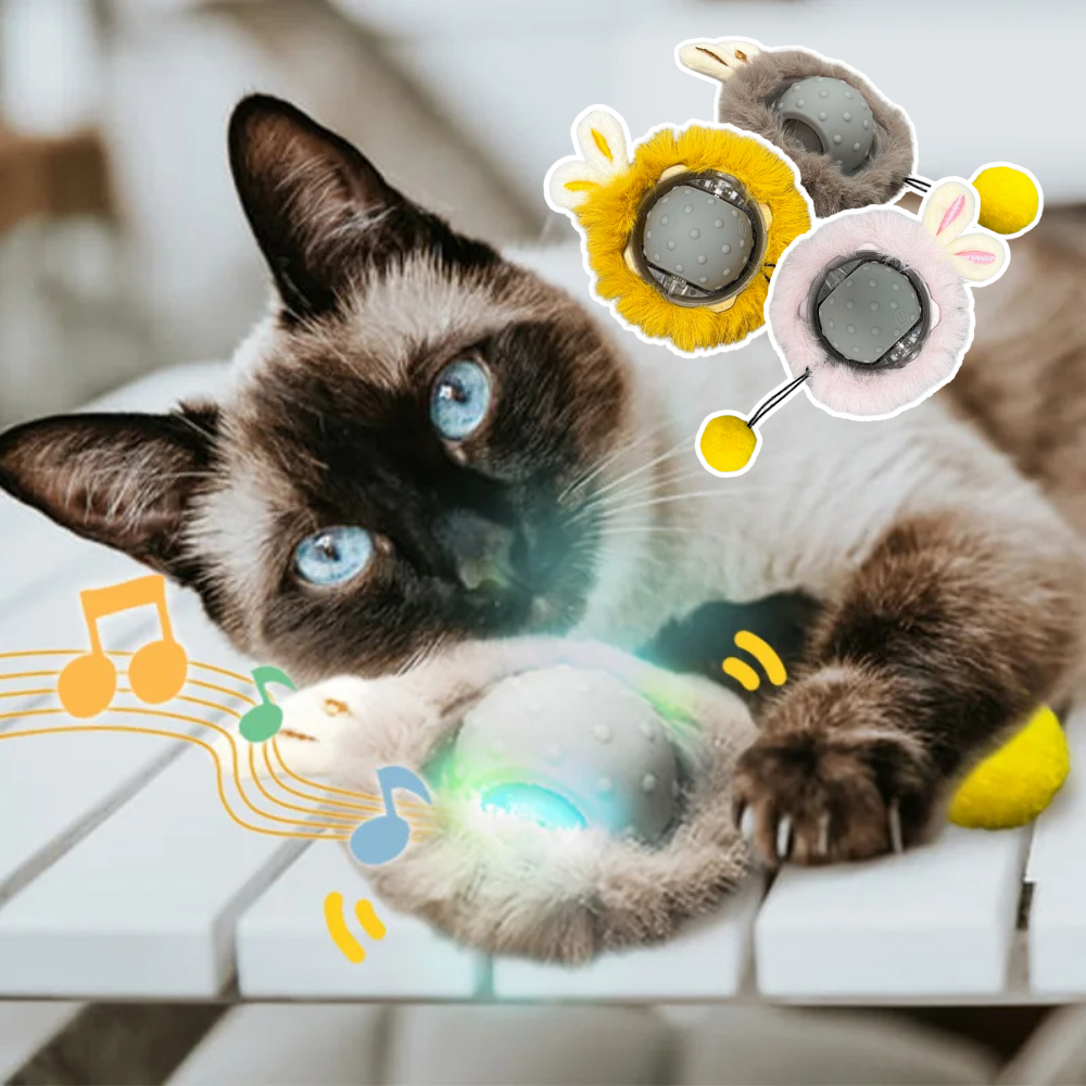 Interactief kattenspeelgoed - FelineFun Orb™