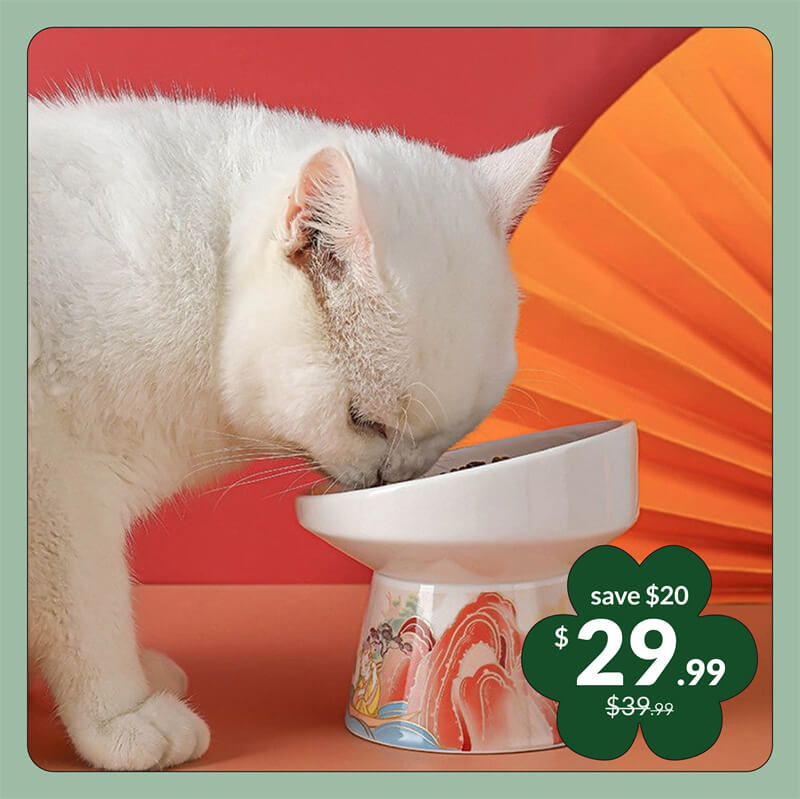 Stoute Kat Keramische Kom