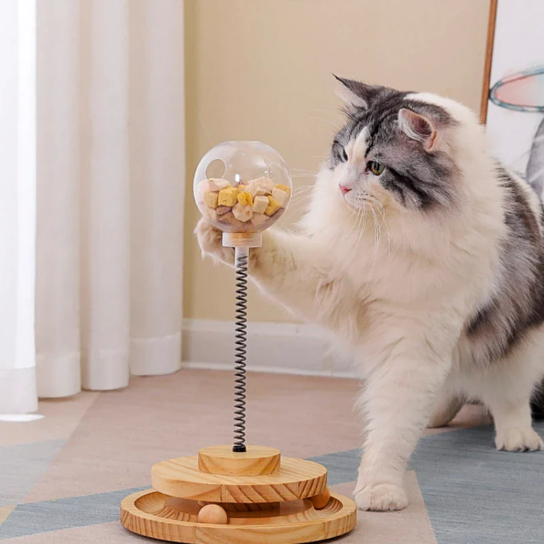 Meowtion - Houdt katten speels en nieuwsgierig
