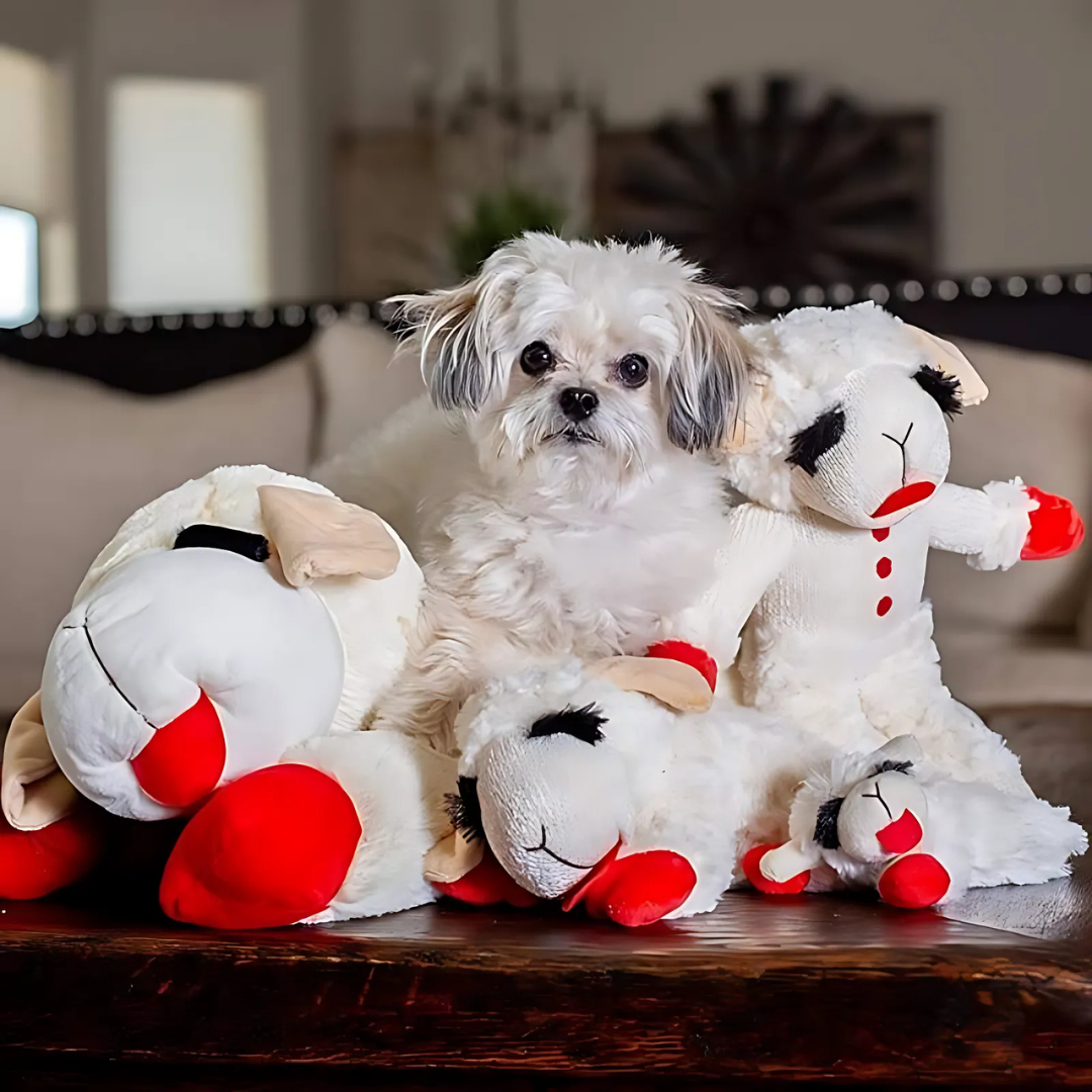 SnuggleSheep - Knuffelbaar Squeaky Hondenspeeltje