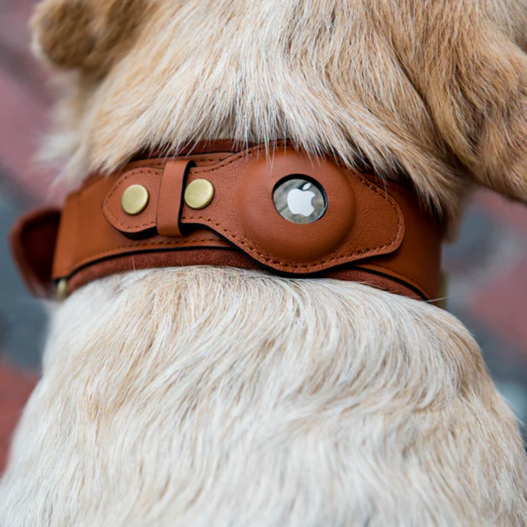 Tracky - Raak je hond nooit meer kwijt!