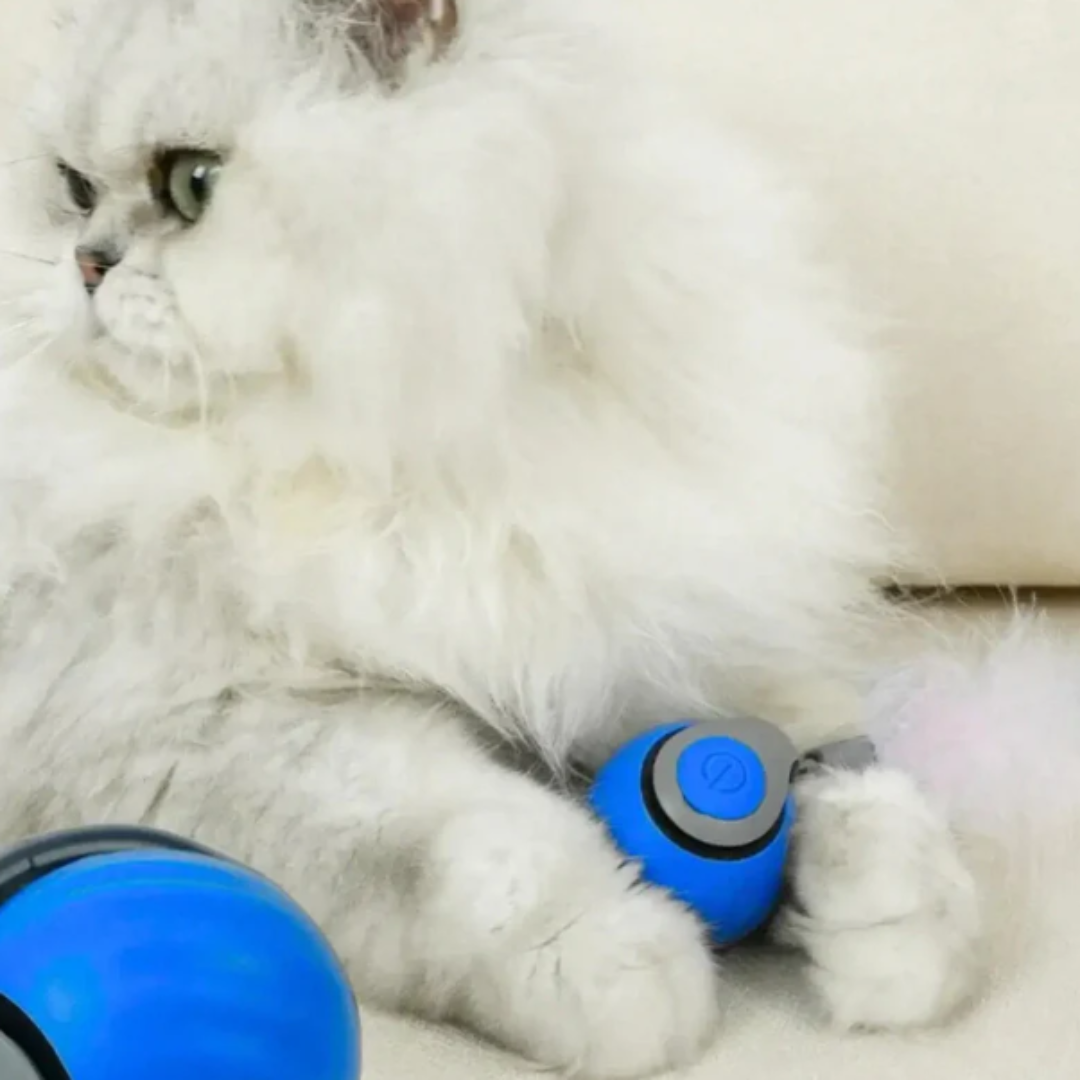 Zoomball 2.0 - Houdt katten actief en speels
