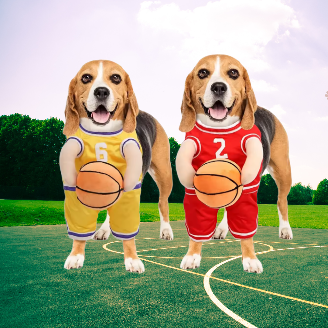 DunkinDog - Maak jouw hond een ster!