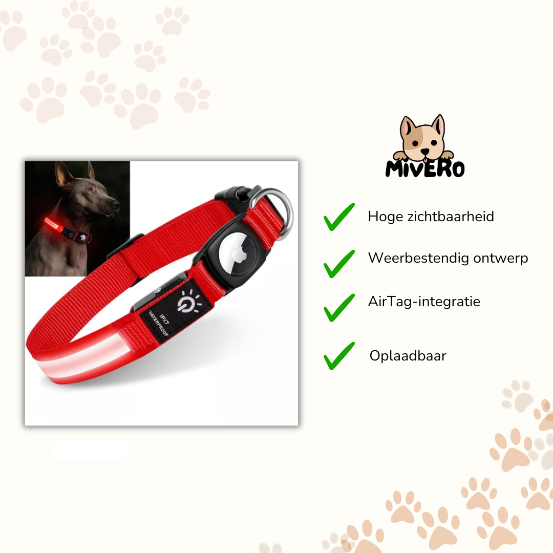 GlowTag - Waterdichte LED Dierenhalsband