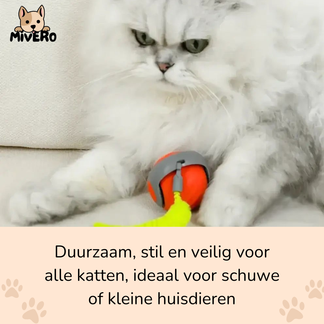 Zoomball 2.0 - Houdt katten actief en speels