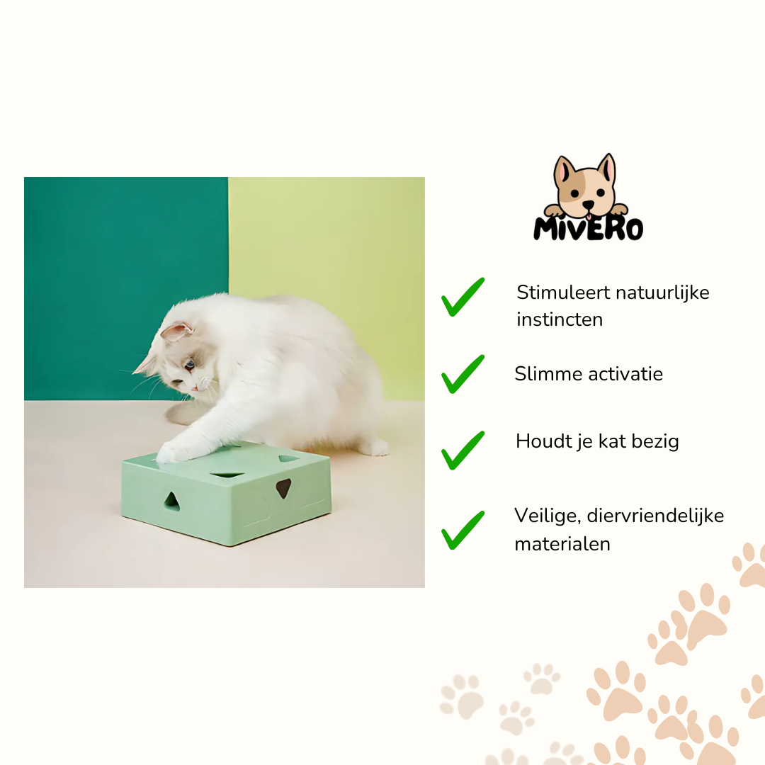 WhiskerBox - Interactieve Puzzel Speelbox