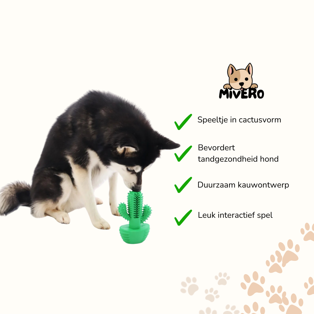 Gummle - Rubberen Cactus Hondenspeeltje