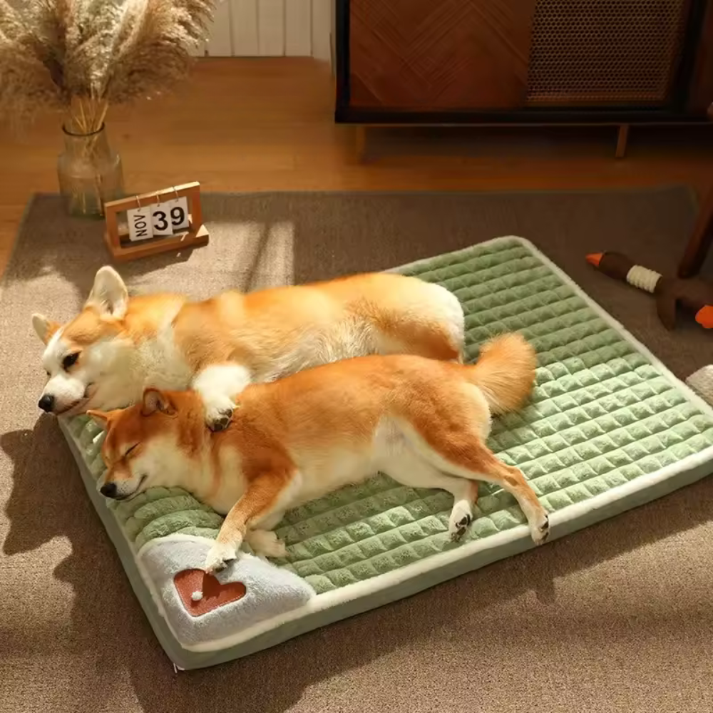 Pet Bed | Warme, wasbare sofa voor kleine en middelgrote honden en katten